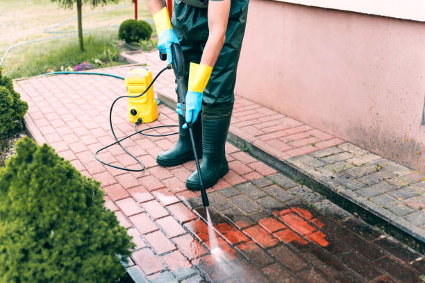 Best Pressure Washing Contractors  in Cassopolis, MI