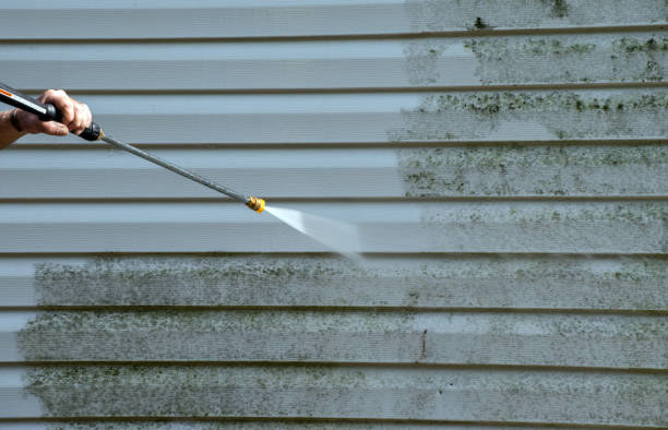 Best Residential Pressure Washing Services  in Cassopolis, MI