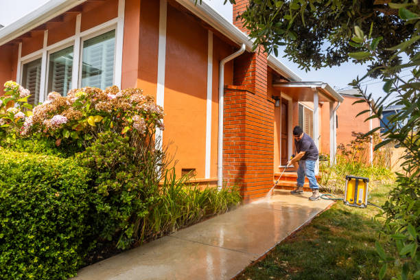 Best Exterior Home Cleaning  in Cassopolis, MI