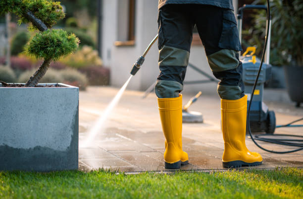 Best Deck Cleaning Services  in Cassopolis, MI